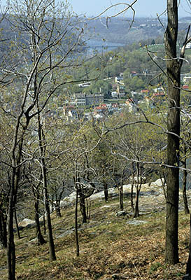 MD: Washington County, Potomac River, Harpers Ferry Nat Hist Park, Maryland Heights, View of Harpers Ferry, Potomac River. [Ask for #091.085.]