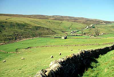 ENG: Cumbria , Lakes District N.P., The Lowther Valley, Rosgill, Dry stone walls separate improved pastures from open moor on the eastern edge of the Lakes District [Ask for #132.022.]