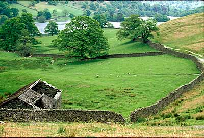 ENG: The Northwest Region, Cumbria, Lake District National Park, Central Lakes Area, Grasmere, Dry stone walls run beneath Loughrigg Terraces, above Grasmere (lake) [Ask for #133.001.]