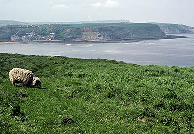 ENG: Yorkshire & Humberside Region, North Yorkshire, North Yorkshire Coast, Sea Cliffs, Runswick Bay, Viewed from across Runswick Bay [Ask for #133.088.]