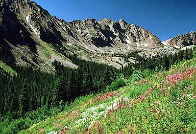 View of Gore Range from alpine meadows along Rock Creek;summer flowers. Location: CO, Summit County, Arapahoe National Forest, Rock Creek, Eagle's Nest Wilderness. [ref. to #140.004]