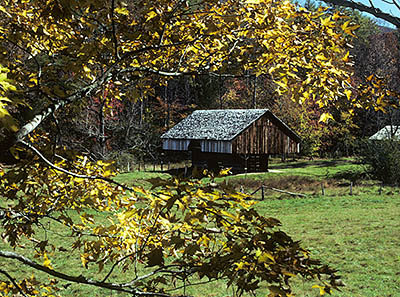 TN: The Great Smoky Mtns Region, Blount County, Great Smoky Mountains Nat. Park, Cades Cove, Tipton Place, Cantilever barn; fall colors [Ask for #142.094.]