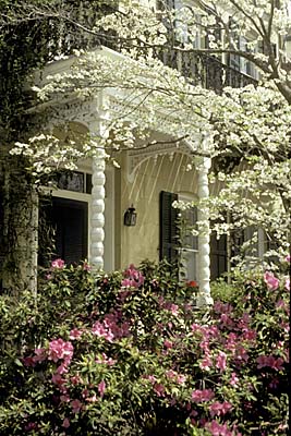 Savannah; Townhouse in historic District; Azeleas, dogwoods in bloom [Cornus florida]. Location: GA: Chatham County. [ref. to #147.058]