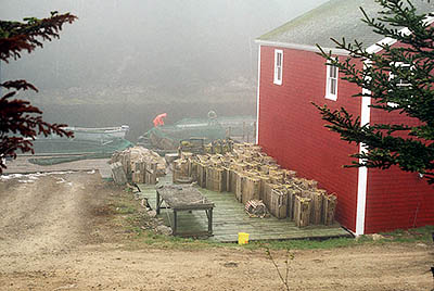 Nova Scotia's Atlantic Coast; Vw of Northwest Cove village. Fishermen working on nets at dock, in fog. On Lighthouse Tr.  [ref. to #151.007]