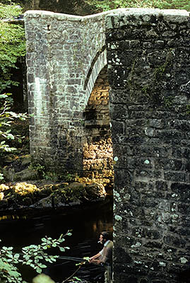 Holne Bridge,  a 14th C. stone bridge built by tin miners over the River Dart, near Ashburton. Location: ENG, Devon , Dartmoor National Park, Dartmoor's Southern Edge, Holne (village). [ref. to #157.045]