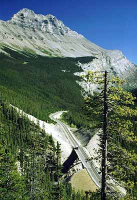  Banff Nat. Pk.; View of Icefields Hwy bridge over North Saskatchewan River; Weeping Wall in bkgd. Location: ALB: . [ref. to #168.045]