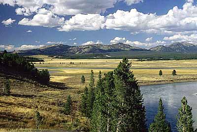 Yellowstone Nat. Pk.; Yellowstone River In Hayden Valley. [ref. to #171.067]