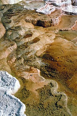 Yellowstone Nat. Pk.; Mammoth Hot Springs Minerva Terrace. [ref. to #172.090]