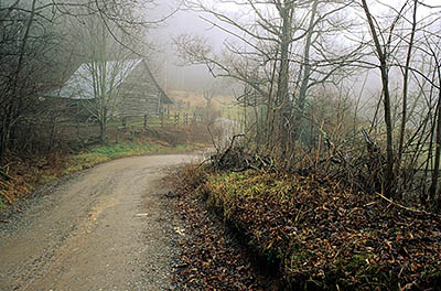 Mountain gravel road in fog; log barn in bkgd; nr. Buck Gap. On Cowee Mtn near Highlands. Location: NC, Macon County, The Blue Ridge Mountains, Near Highlands, Buck Creek Community. [ref. to #174.019]