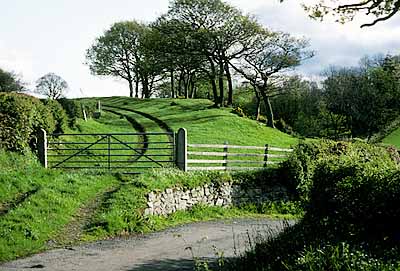 Hedged farm track & lane, in hills east of the Conwy Valley. Location: WAL, Conwy County, Vale of Conwy, Llanrwst Area, Maenan (hamlet). [ref. to #183.035]