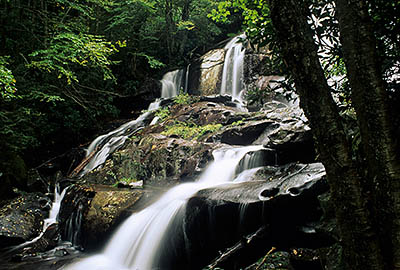 Sassafras Falls, viewed from bottom. Location: NC, Graham County, Nantahala National Forest, Snowbird Creek Area. [ref. to #188.049]