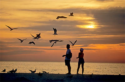 Couple feeding gulls in sunset. NR. Location: FL, Pinellas County, St. Petersburg, St. Petersburg Beach. [ref. to #193.026]