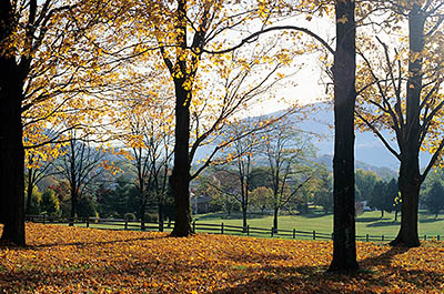 WV: Jefferson County, Potomac River Area, Harpers Ferry Nat. Hist. Park, Bolivar Heights, View over fields; fall colors [Ask for #194.096.]