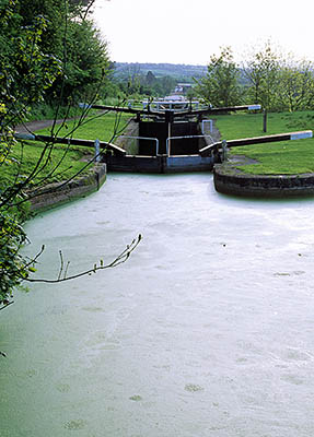 ENG: South West Region, Wiltshire, The Vale of Pewsey, Devises, Devises Locks, Kennet and Avon Canal, View down the Caen Hill Locks; closed for repairs, floating growth covers the surface of the holding basin [Ask for #197.03B.]