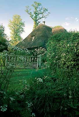 ENG: South West Region, Wiltshire, North Wessex Downs AONB, The Vale of Pewsey, The Altons, Alton Priors. A thatched cottage is bathed in evening light. [Ask for #198.023.]