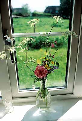 Alton Barnes. A vase of flowers sits on a cottage window sill. Location: ENG, Wiltshire , North Wessex Downs AONB, The Vale of Pewsey, The Altons. [ref. to #198.037]