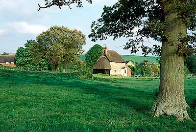 Alton Priors. View across the Church Meadows to a thatched self-catering cottage, Dindy's Cottage. Location: ENG, Wiltshire , North Wessex Downs AONB, The Vale of Pewsey, The Altons. [ref. to #199.072]