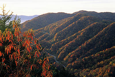 North Carolina: The Great Smoky Mtns Region, Swain County, Great Smoky Mountains Nat. Park, Newfound Gap, Newfound Gap Overlook, View south. Fall colors. Newfound Gap Road visible in bkgd. [Ask for #204.013.]