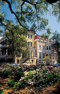 Savannah; Monterrey Square. Ante-bellum houses along square; Azaleas [Rhododendron simsii]. Location: GA: Chatham County. [ref. to #211.020]