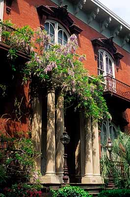 Savannah; Monterrey Square Mercer House; front porch & window above. Wisteria [wisteria sinensis]. Location: GA: Chatham County. [ref. to #211.023]