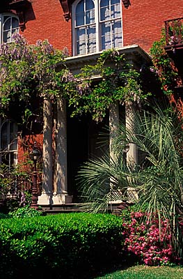 Savannah; Monterrey Square Mercer House; front porch &window above. Wisteria [wisteria sinensis]. Location: GA: Chatham County. [ref. to #211.024]