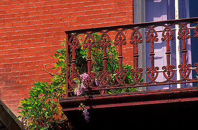 Savannah; Monterrey Square. Mercer House; cast iron balcony; Wisteria [wisteria sinensis]. Location: GA: Chatham County. [ref. to #211.030]