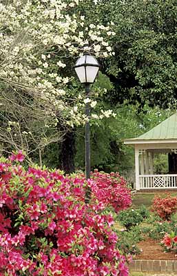 Charleston; Hampton Park Gazebo, lamp, and azeleas. Location: SC: Charleston County. [ref. to #211.073]