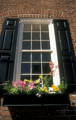 Charleston; Tradd Steet Area Flowers in window box House on Orange St., off Tradd. Location: SC: Charleston County. [ref. to #211.111]