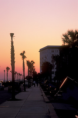 Charleston; The Battery -- Battery Park Dusk sky over the park. Location: SC: Charleston County. [ref. to #211.139]