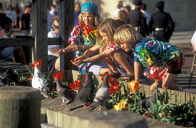 NC: New Hanover County, Cape Fear River Area, Wilmington, Riverfront, Little girls feeding pigeons along the Riverwalk, at the Azalea Festival. NOT RELEASED. [Ask for #211.159.]