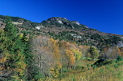 North Carolina: Northern Mountains Region, Avery County, The Blue Ridge Parkway, Grandfather Mountain Section, Beacon Heights Overlook, MP 305, View of Grandfather Mountain in fall colors [Ask for #214.064.]