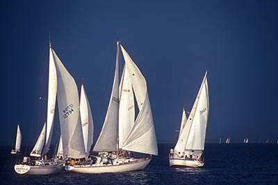 Late afternoon view towards sailboats racing in Tampa Bay. Location: FL, Hillsborough County, Tampa, Bayshore Blvd.. [ref. to #217.048]