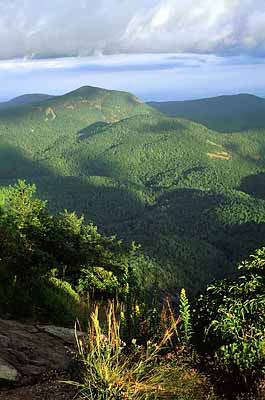 View over cliffs from the top of Whiteside Mountain, on the Blue Ridge. Location: NC, Jackson County, Nantahala National Forest, Whiteside Mountain. [ref. to #218.044]