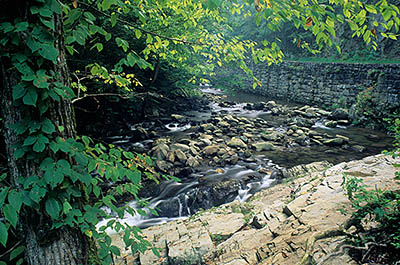 TN: The Great Smoky Mtns Region, Blount County, Great Smoky Mountains Nat. Park, Laurel Creek Area, Laurel Creek [Ask for #218.151.]