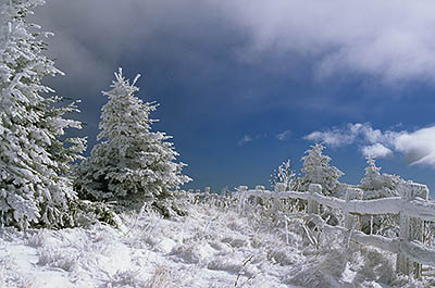 The Appalachian Trail crosses a wood rail fence in snow. Location: NC, Mitchell County, Pisgah National Forest, Roan Mountain Area, Carvers Gap. [ref. to #222.185]