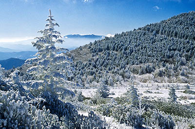 North Carolina: Northern Mountains Region, Mitchell County, Pisgah National Forest, The Roan Highlands, Carvers Gap, View of Carvers Gap & Roan Mtn from the Appalachian Trail in snow-covered ridgeline meadows; Mount Mitchell in bkgd [Ask for #222.188.]