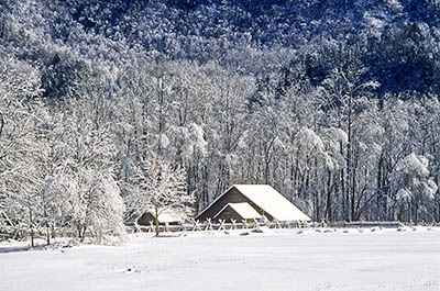 Barn viewed across meadow; heavy snow. Location: NC, Swain County, Great Smoky Mountains Nat. Park, Newfound Gap Road, Pioneer Farm Museum at Oconaluftee Ranger Station. [ref. to #223.015]