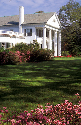 NC: Brunswick County, Cape Fear River Area, Southport Vicinity, Orton Plantation, Plantation house, viewed from front; azaleas in bloom [Ask for #224.096.]