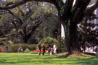 NC: Brunswick County, Cape Fear River Area, Southport Vicinity, Orton Plantation, Easter Egg Hunt [Rel. from organizer] Children looking for eggs by plantation [Ask for #224.103.]