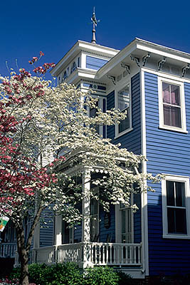 NC: New Hanover County, Cape Fear River Area, Wilmington, Wilmington Historic District, Hansen House. Porch framed by dogwoods. [Ask for #224.149.]