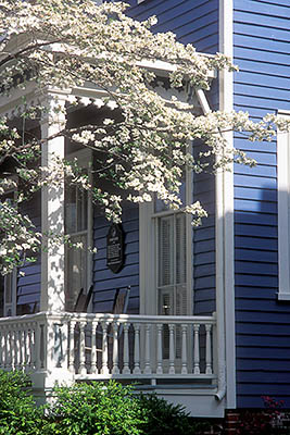 NC: New Hanover County, Cape Fear River Area, Wilmington, Wilmington Historic District, Hansen House. Porch framed by dogwoods. [Ask for #224.150.]