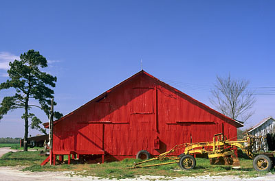 NC: Washington County, Albemarle Sound Area, Creswell, Red barn at Scuppernong west of Columbia [Ask for #224.317.]