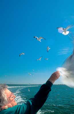 NC: Dare County, The Outer Banks, Cape Hatteras, Hatteras-Ocracoke Ferry on Pamlico Sound, Ruth Fountain feeding gulls from ferry RELEASED [Ask for #224.426.]