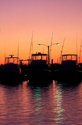 Dusk sky behind deep sea fishing boats at Oregon Inlet Marina. Location: NC, Dare County, The Outer Banks, Hatteras National Seashore, Oregon Inlet Marina. [ref. to #224.466]