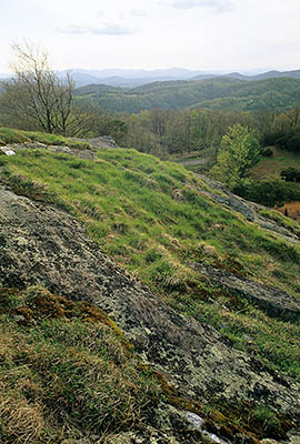 Doughton Park, on the Blue Ridge Parkway. Mountaintop meadows in early spring. Location: NC, Alleghany County, MP 241. [ref. to #226.054]