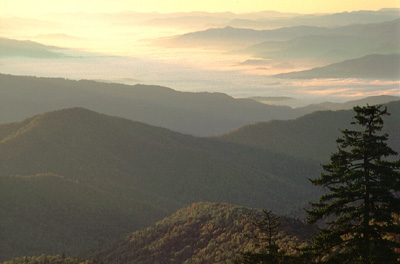 Sunrise view towards the Tuckaseegee River Valley, in valley fog; fall colors. Location: NC, Swain County, Great Smoky Mountains Nat. Park, Clingmans Dome, Clingman's Dome Overlook. [ref. to #228.629]