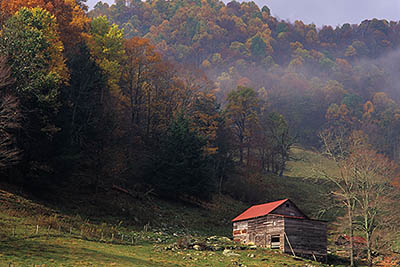 Red roofed barn in meadows; late fall. Location: NC, Yancey County, Mayland Valley, Bald Creek Area, Lickskillit Community. [ref. to #228.809]