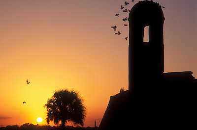 Sunrise over the northeast tower and St. Augustine Harbor; sea birds circling tower. Location: FL, St. Johns County, St. Augustine, Castillo de San Marcos Nat. Monument. [ref. to #231.127]