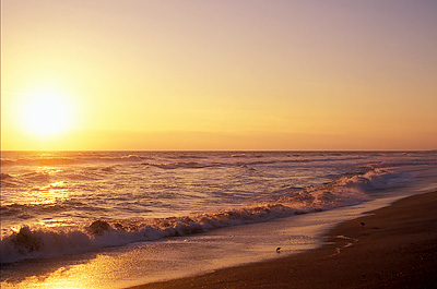 Sunrise over the Atlantic Ocean, from the Villages of Villano Walkover. Location: FL, St. Johns County, St. Augustine Area, Villano Beach. [ref. to #231.192]