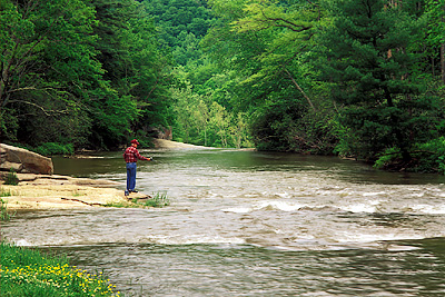 Elk River, above falls; man fly fishing. NR. Location: NC, Avery County, Pisgah National Forest, The Elk River Area, Elk River Falls. [ref. to #232.459]